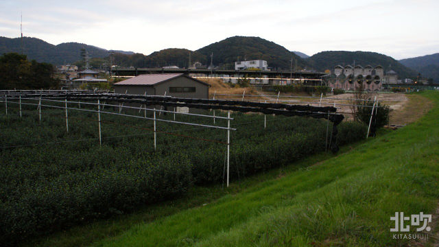 宇治川太閤堤跡