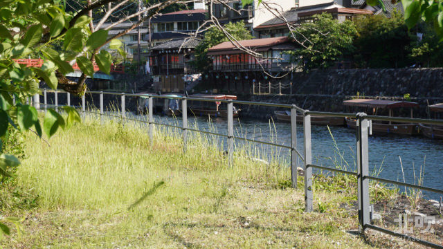 京都府立宇治公園中の島