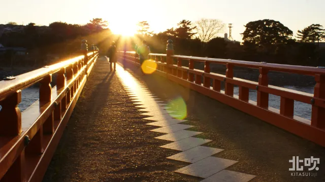 朝霧橋